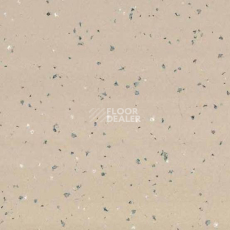 Линолеум Taralay Premium Indiana 4343 Tokelau фото 1 | FLOORDEALER